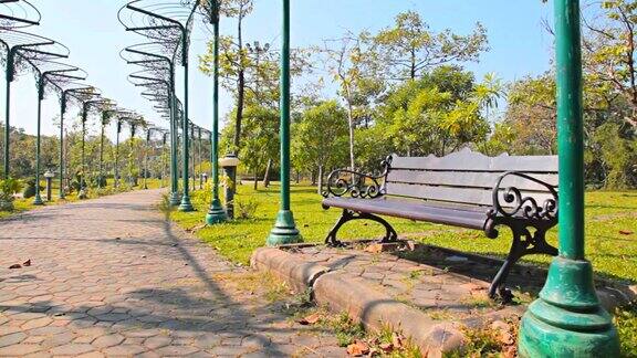 多莉:公园的草坪和人行道上的长椅