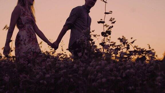 日落时分一对年轻的夫妇在田野里散步