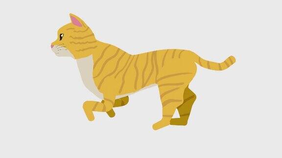 运行猫插图循环动画(4K分辨率背景透明度)