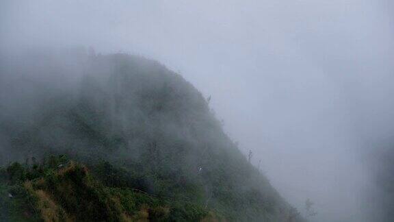 慢动作景观景观的绿色雨林山在雾天
