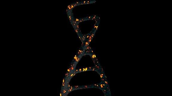 黑色背景下DNA生长的3D动画表面材料为黑色和火焰色阿尔法通道镜头从下往上移动