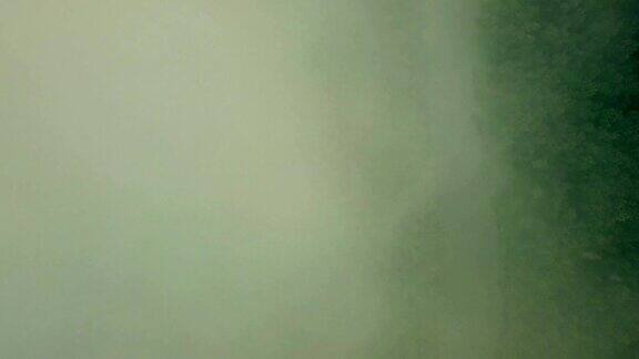 穿过云雾下降到野生松林俯视图