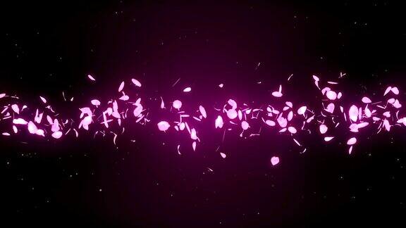 樱花花瓣落在粉红色的背景上循环闪烁动画