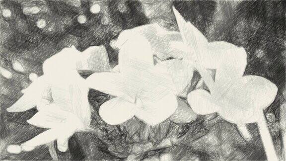 画着黑白色的鸡蛋花