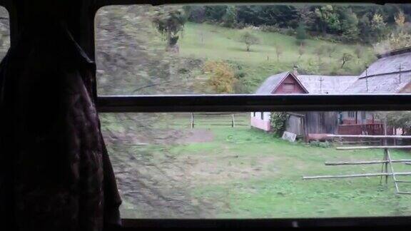 窗口视图从一个移动的蒸汽机通过森林
