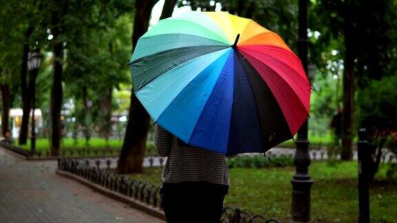 一个不认识的女人走在五颜六色的伞在一个雨天在城市公园的背影