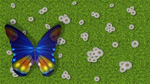 春天夏天绿色草地花和蝴蝶-电影3D插图