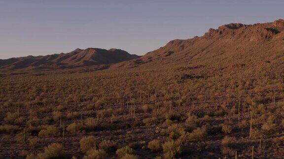 撒瓜罗仙人掌沙漠图森亚利桑那州:空中