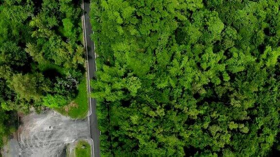 途经热带常绿森林或热带雨林鸟瞰空旷的常绿森林中的道路