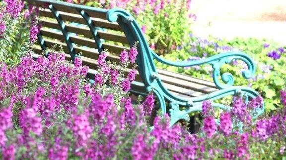 美丽的鲜花花园与古董长椅