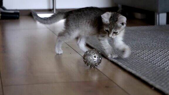 可爱的灰色小猫在地毯上玩金属球玩具