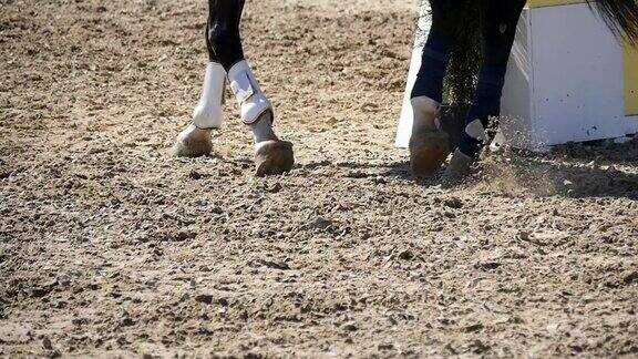 马蹄踏在沙地上在潮湿泥泞的地面上奔驰的骏马的腿的特写慢动作