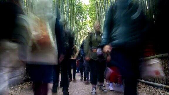 在日本京都的岚山竹林里散步的一群游客