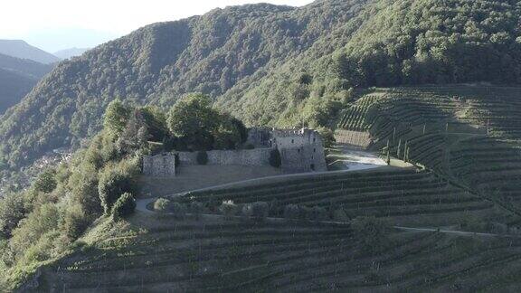 无人机拍摄的湖边山顶上的城堡