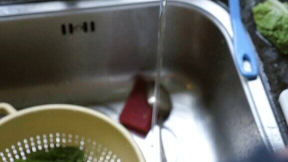 双手洗生菜