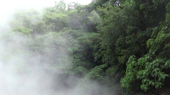 在台湾绿林中的大温泉里冒泡