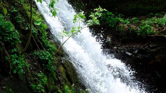 绿色山脉山泉急溪流