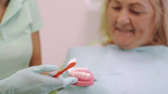 牙医向她的女客户解释牙齿的布局