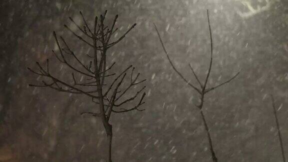 在一个寒冷的冬天的晚上雪花在一个黑色的背景下伴随着风雪风暴雪落在树枝和路灯之间