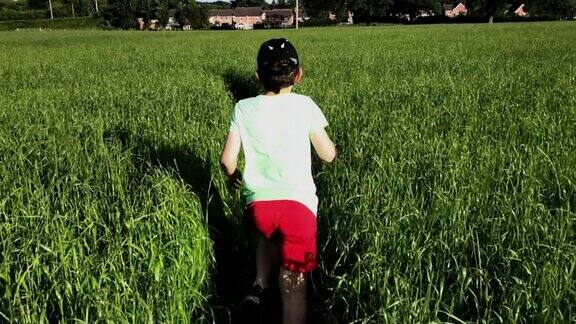 小男孩在漫长的夏日草地上慢镜头奔跑