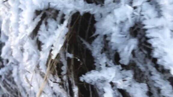 干草上近距离覆盖着霜垂直视频