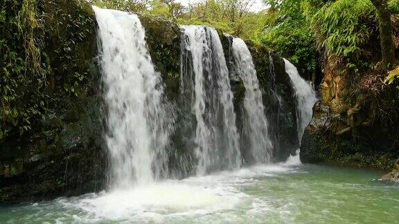 瀑布流入一个清澈的绿色池塘