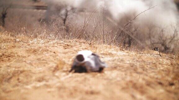 沙漠里的摄制组射击破坏了一辆在沙漠中飞驰的卡车烟火电影制作