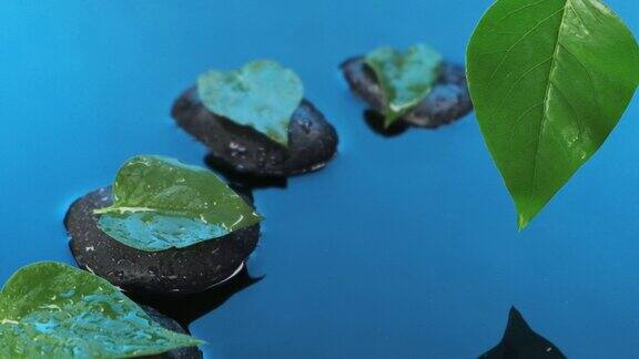 一滴水从一片绿叶掉进水里缓慢的运动