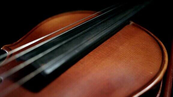 黑色背景上的小提琴部分