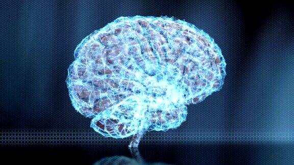 分析人类大脑的慢循环蓝色