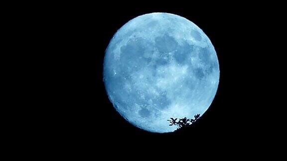 月亮在夜晚移动