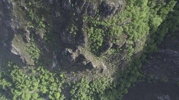 无人机拍摄山坡上的绿色植被