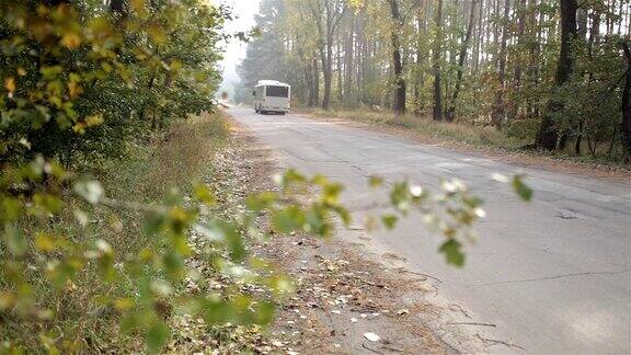 公共汽车在秋天的森林里行驶