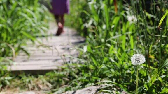 小女孩走在一条木制的小路上