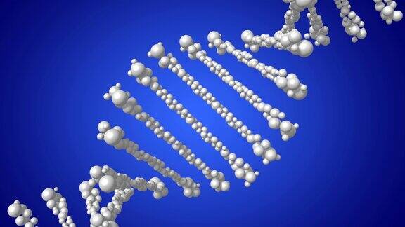 3DDNA编码(脱氧核糖核酸)