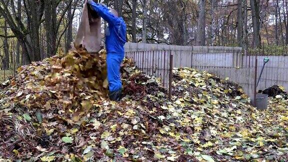 工人们背着装满干树叶的袋子把它们倒在堆肥堆上FullHD
