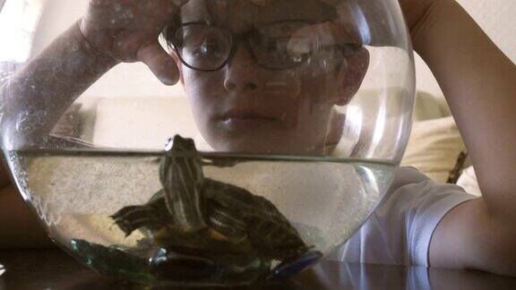 孩子看着鱼缸里的乌龟