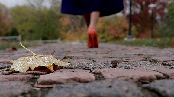 优雅的女性腿漫步在秋天的公园
