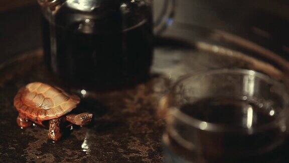 黑茶石桌陶瓷龟形热水高清画面