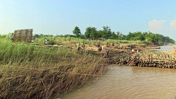 工人们在河岸上移动竹竿做地板