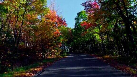 在树叶茂盛的秋天沿着乡间小路穿过森林
