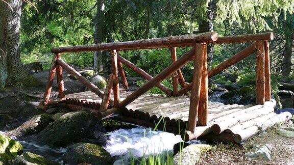 保加利亚索非亚附近的维托沙自然公园金桥地区溪水和木桥景观