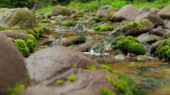 森林深处美丽的苔藓瀑布