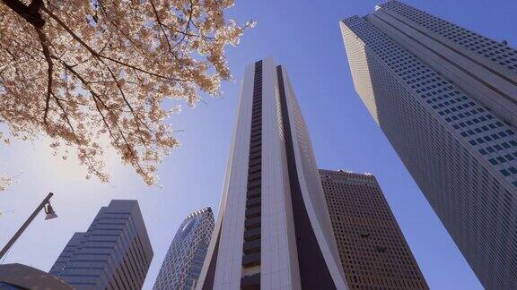 新宿摩天大楼和樱花盛开