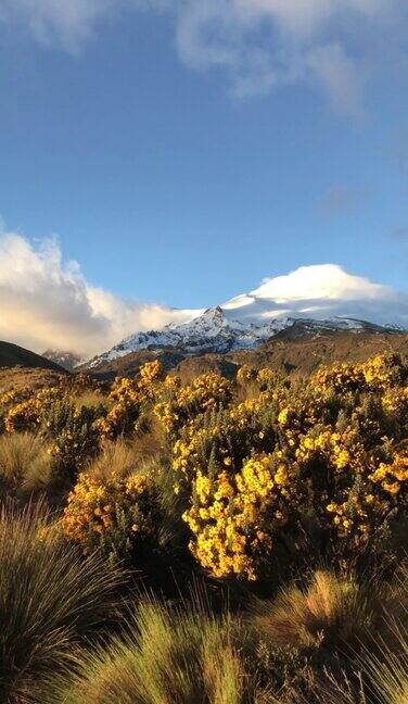 安第斯高地与科托帕希火山从基多皮钦查省厄瓜多尔南美洲