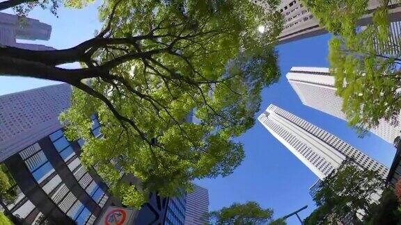 商业区摩天大楼绿树抬头看看天空