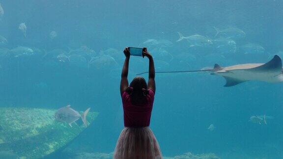 小女孩用智能手机拍摄水族馆里的鱼拍摄在水箱里游泳的海洋动物了解水生栖息地的海洋生物在水族馆里玩得很开心