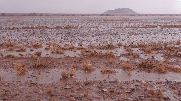 纳米布沙漠中一场罕见的暴风雨