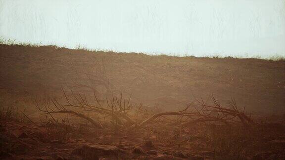 沙漠中的沙尘风暴