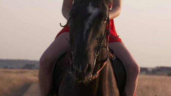 年轻的女孩穿着红长裙骑着黑马在乡下